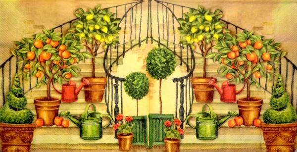 062 Lemons,  Oranges - 3-ply - Atelier
